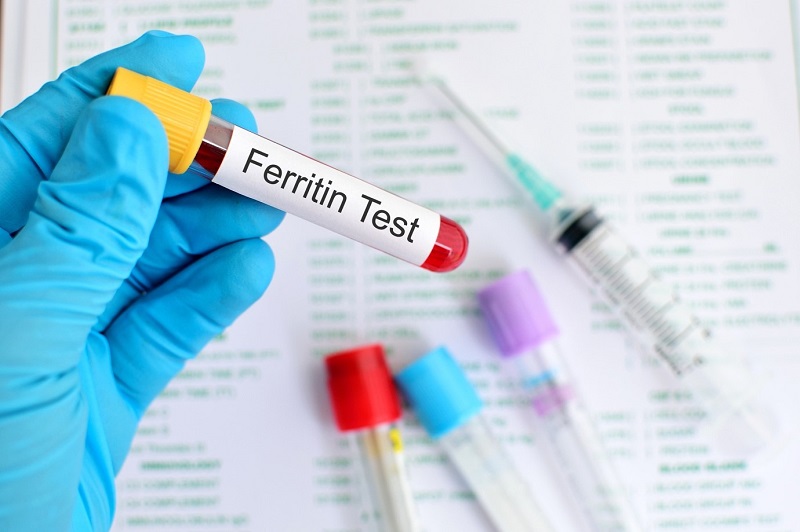 ferritin ferritin