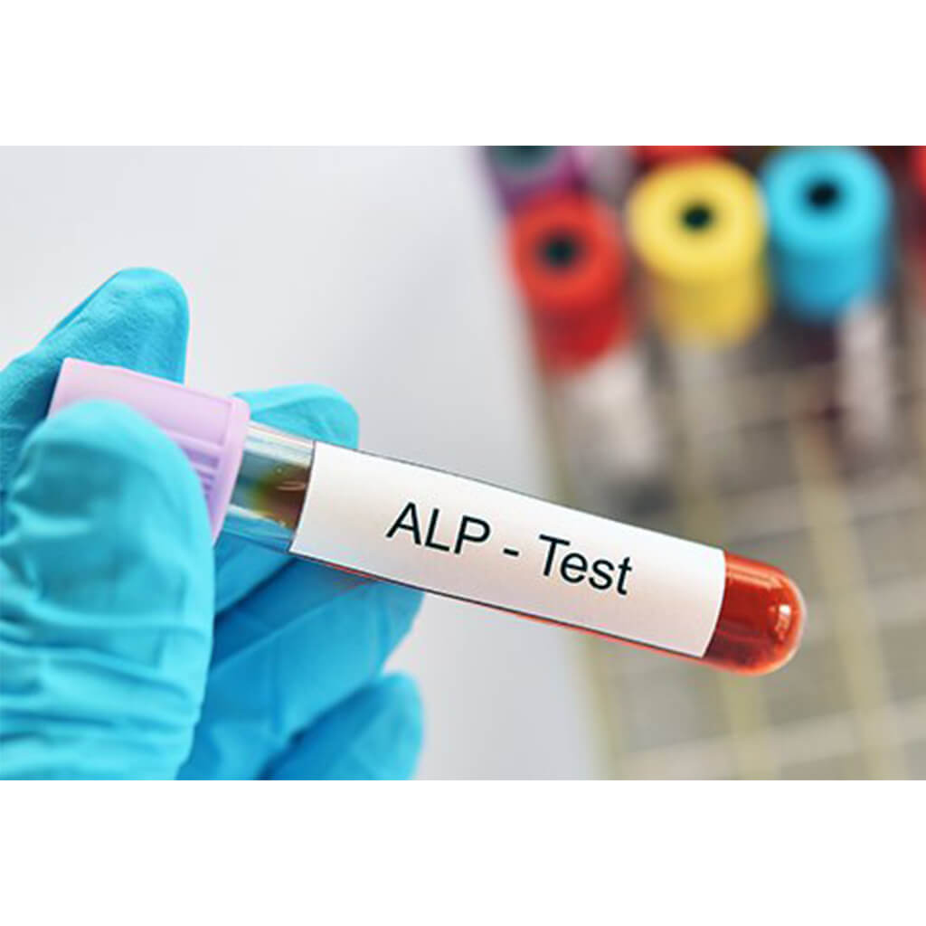 ALP-Thumb